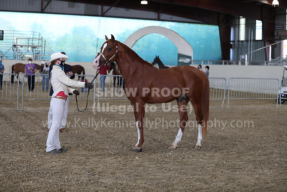 AHANC21_Wed_1048