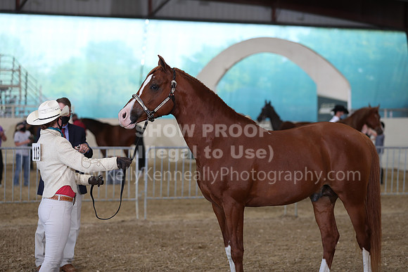 AHANC21_Wed_1049