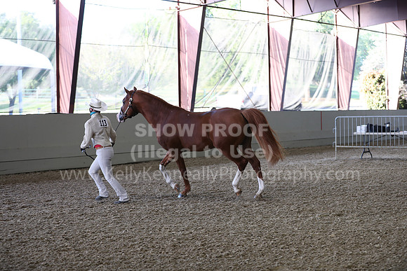AHANC21_Wed_1052