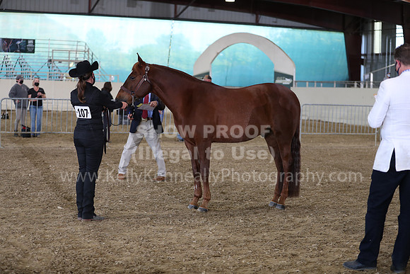 AHANC21_Wed_1065