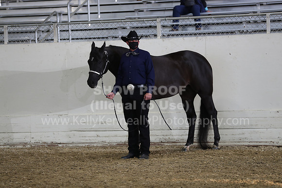 AHANC21_Wed_1077
