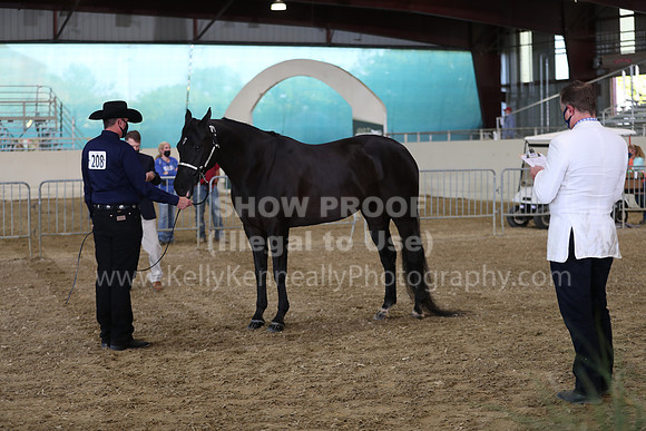 AHANC21_Wed_1080