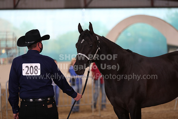 AHANC21_Wed_1083