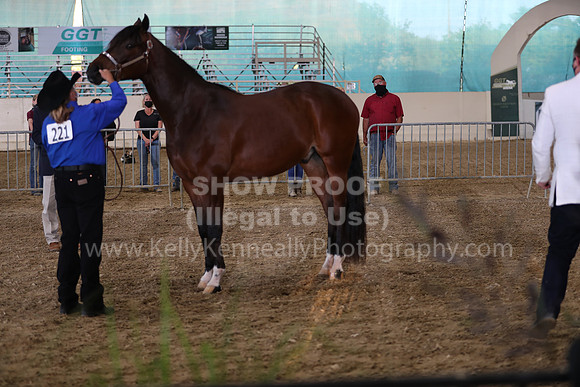 AHANC21_Wed_1088