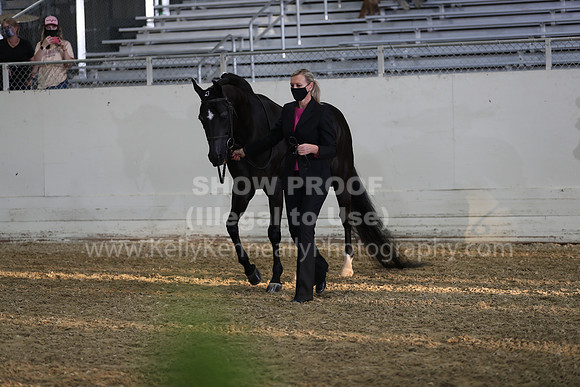 AHANC21_Wed_1092