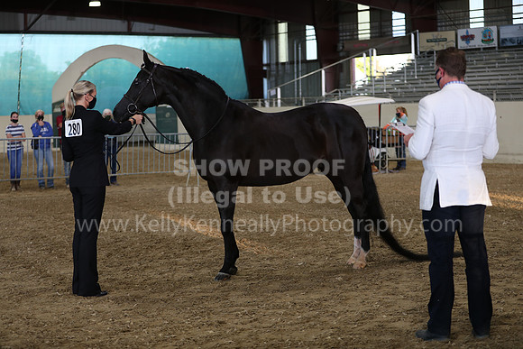 AHANC21_Wed_1094