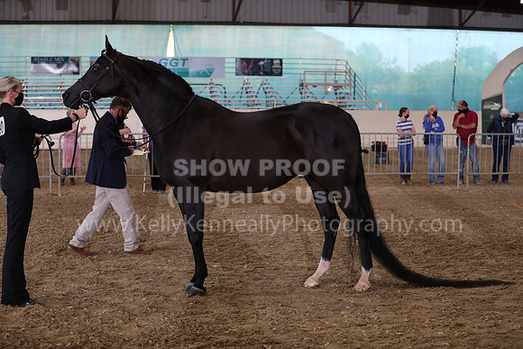 AHANC21_Wed_1100