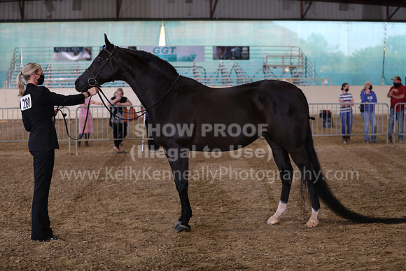 AHANC21_Wed_1101