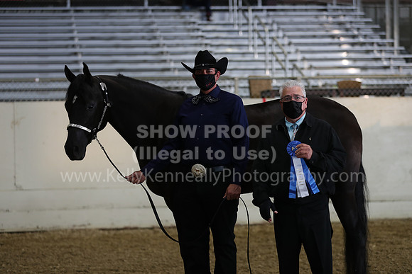 AHANC21_Wed_1103