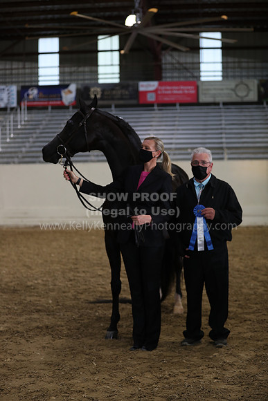 AHANC21_Wed_1107