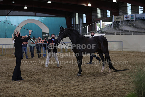 AHANC21_Wed_1136