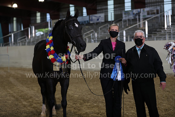 AHANC21_Wed_1148
