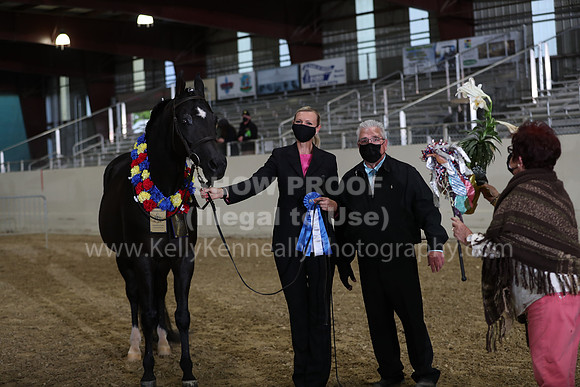 AHANC21_Wed_1151