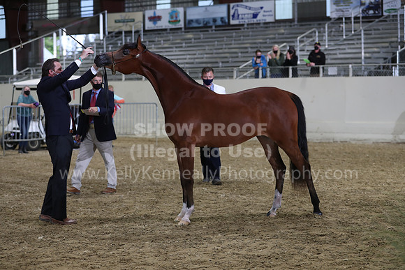 AHANC21_Wed_1175