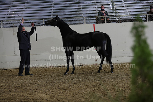 AHANC21_Wed_1179