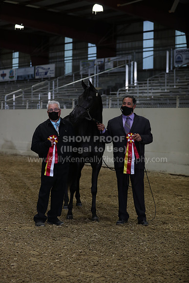 AHANC21_Wed_1194