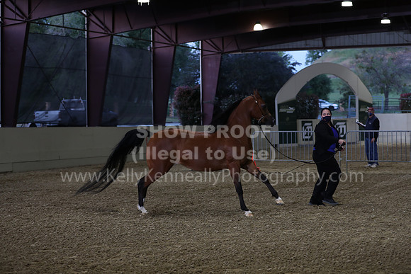 AHANC21_Wed_1201