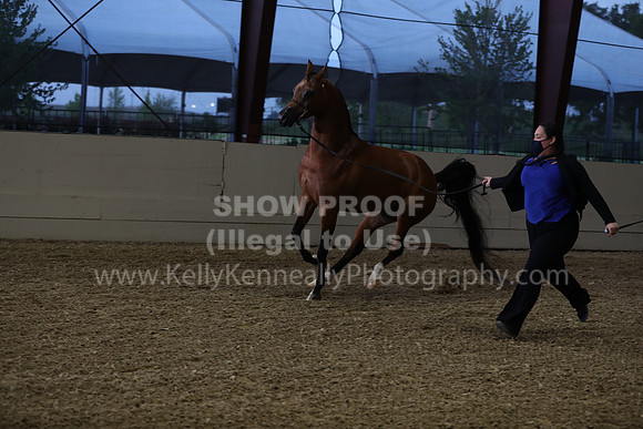 AHANC21_Wed_1204