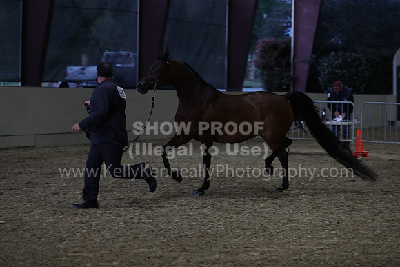 AHANC21_Wed_1209
