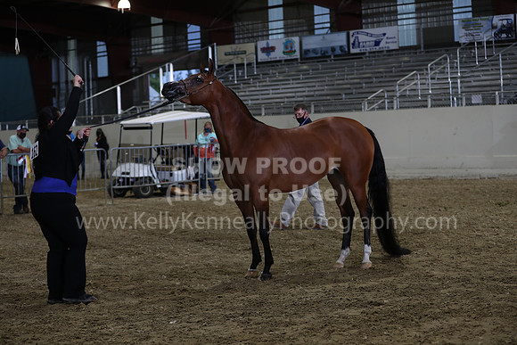 AHANC21_Wed_1214