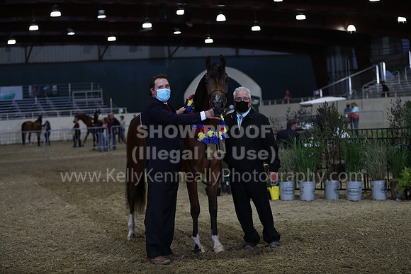 AHANC21_Wed_1230