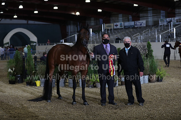 AHANC21_Wed_1232