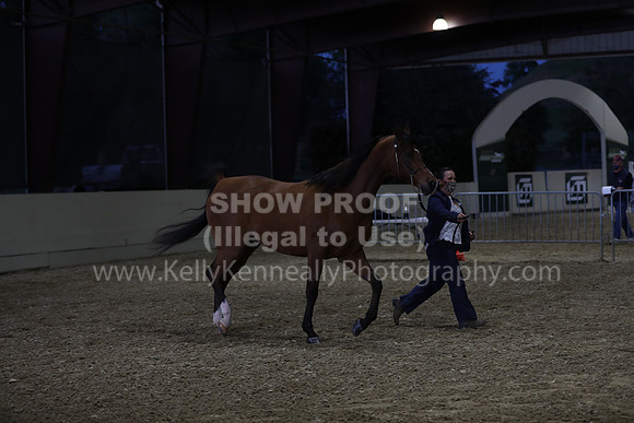 AHANC21_Wed_1245