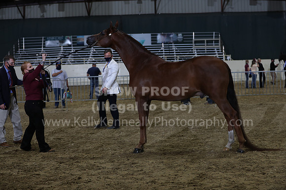 AHANC21_Wed_1251