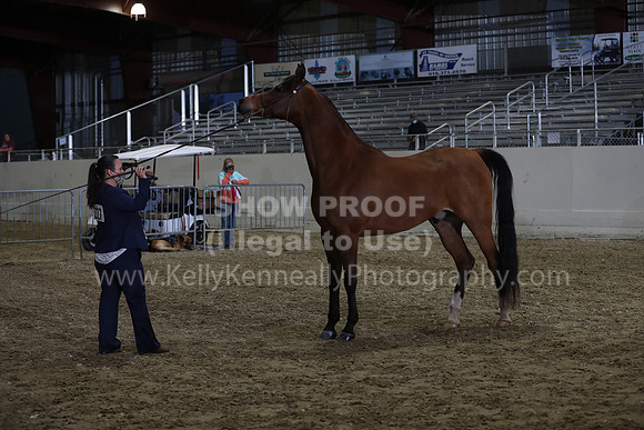 AHANC21_Wed_1252