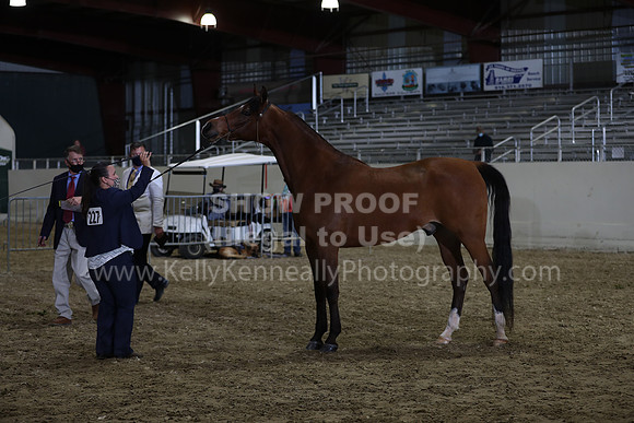 AHANC21_Wed_1254