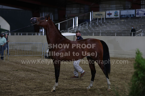 AHANC21_Wed_1270