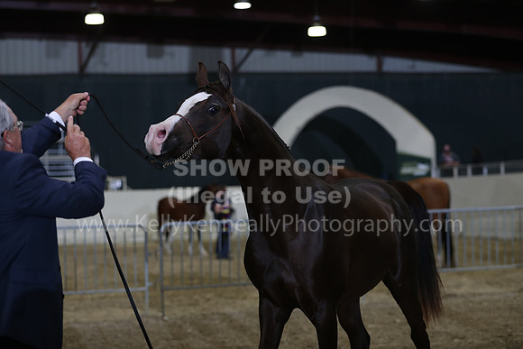 AHANC21_Wed_1310
