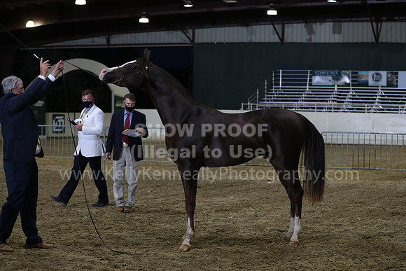 AHANC21_Wed_1311