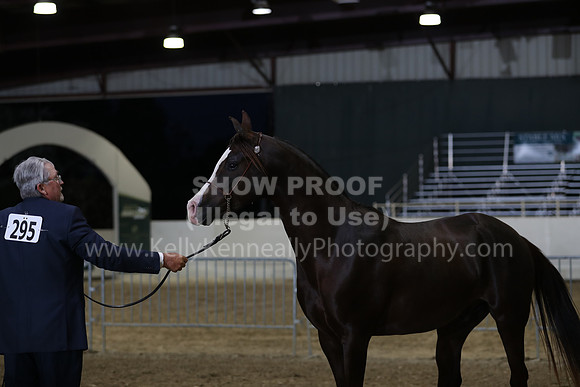 AHANC21_Wed_1312