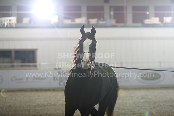 AHANC21_Wed_1314