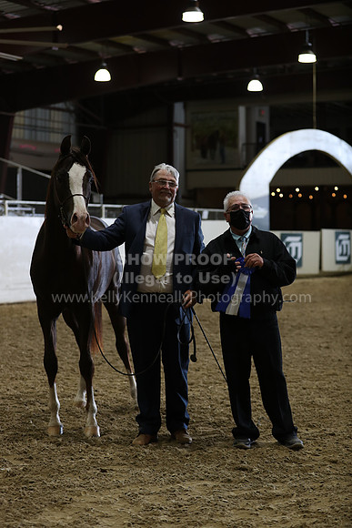 AHANC21_Wed_1320