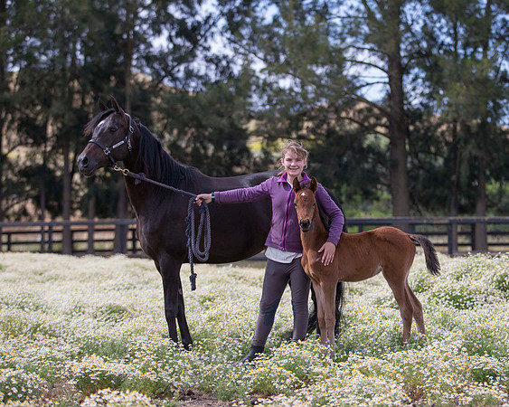 ShermanFoals2017_2_2866