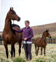 ShermanFoals2017_4_3289