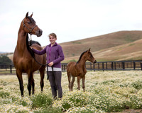 ShermanFoals2017_4_3290