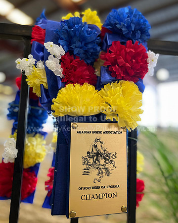 AHANC_Garland_6430