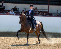 Class 120 - English Pleasure/JTR 18 & Under