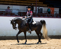 Class 329 - Arabian Western Pl/Jr Horse 5 Yrs & Under