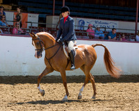 Class 296 - Arabian Hunter Pl/JTR Select