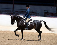 Class 334 - HA Hunter Pl/JTR Choice/Elite