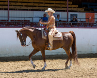Class 338 - Arabian Western Pl/AAOTR 19-49 Yrs