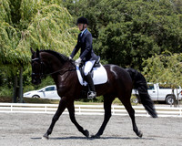 FWF_DressageShow17_D1_4738