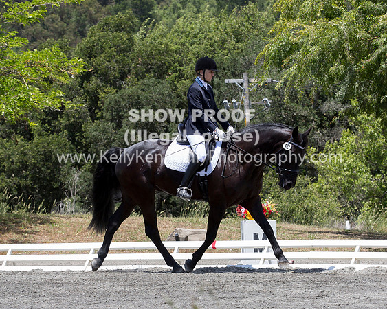 FWF_DressageShow17_D1_4739