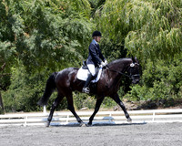 FWF_DressageShow17_D1_4741