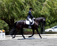 FWF_DressageShow17_D1_4742
