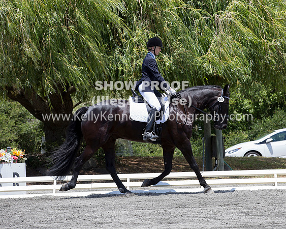 FWF_DressageShow17_D1_4742